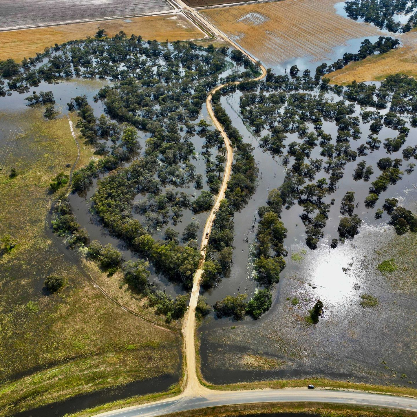 Deniliquin Flood Plains, NSW
