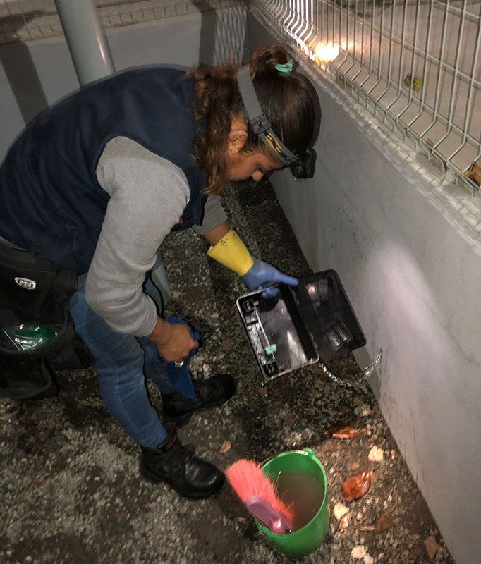 FUMIGACIONES HERNANDEZ
