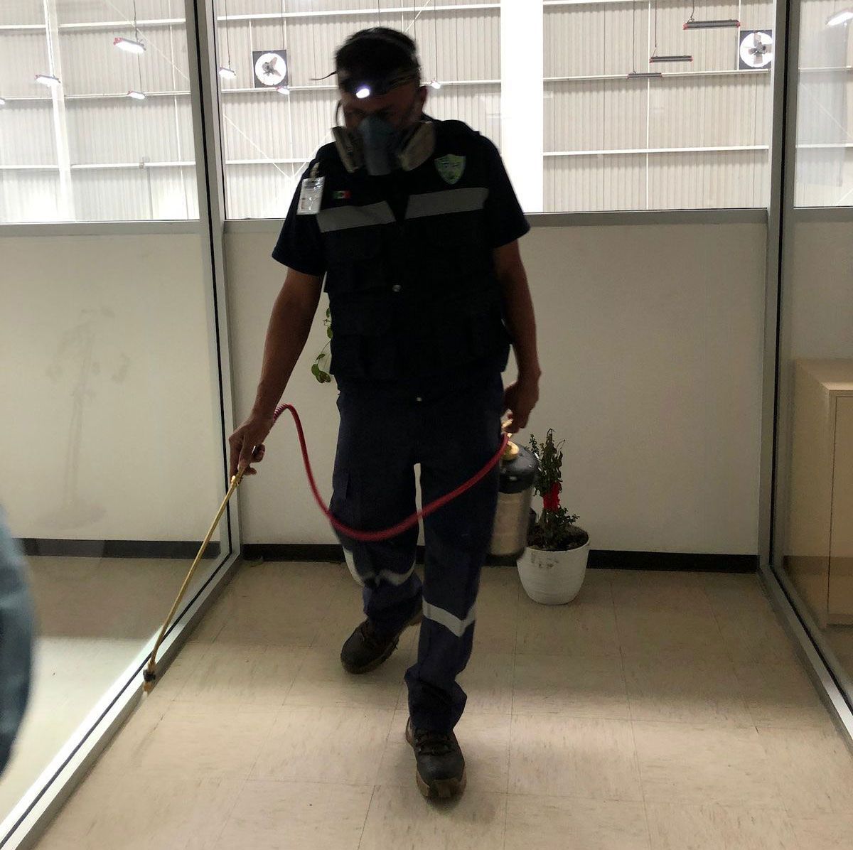 FUMIGACIONES HERNANDEZ