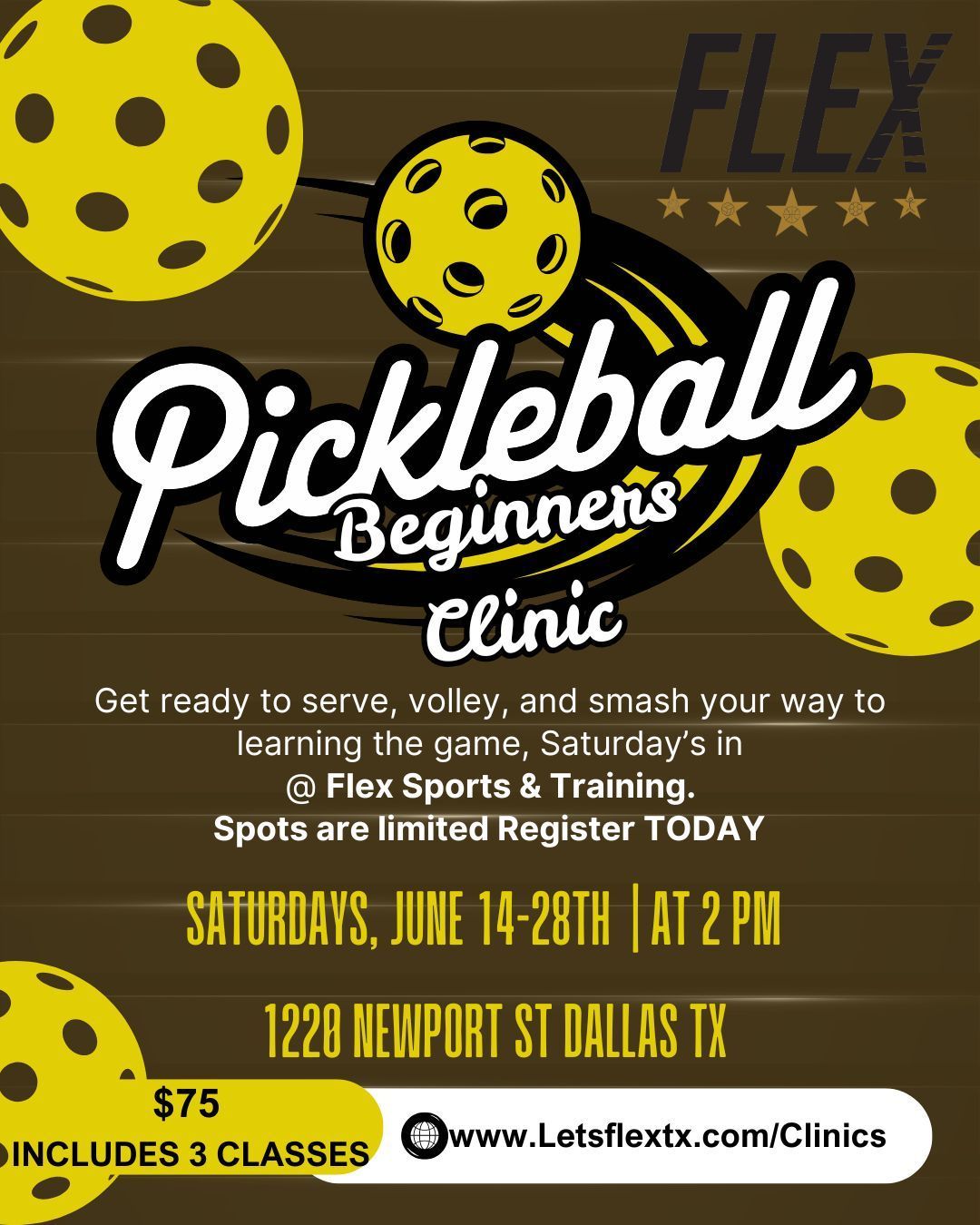 Adult Pickleball Beginners Clinic