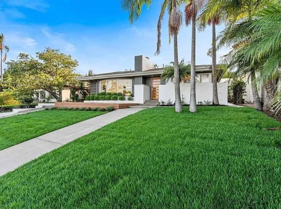 Green backyard lawn with palm trees and residential fence.