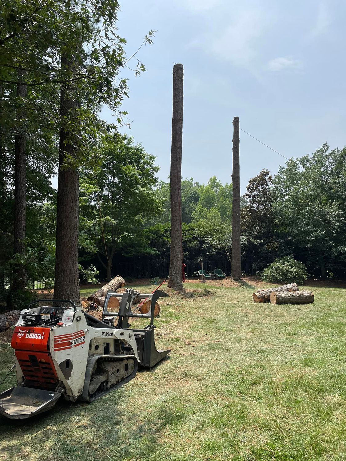 Tree removal with crane and chainsaw crew