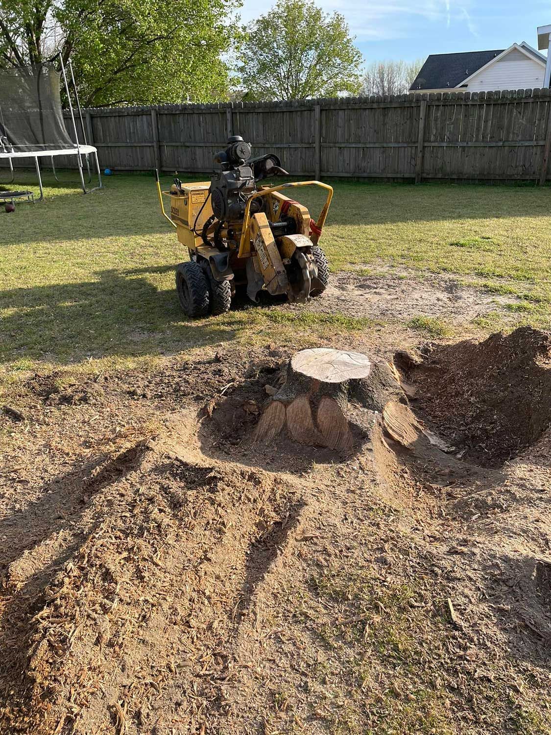 Person on a yellow ATV beside a tree stump and woodchips in a fenced backyard