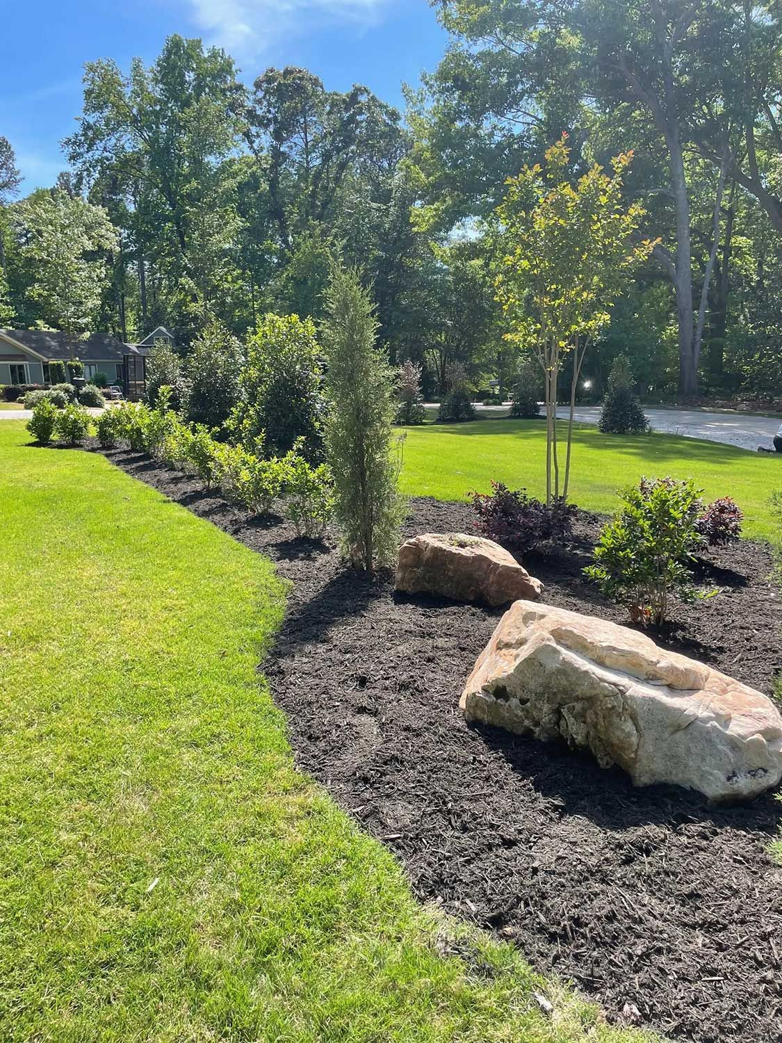 Landscaped garden bed with mulch, rocks, and young trees beside a green lawn on a sunny day