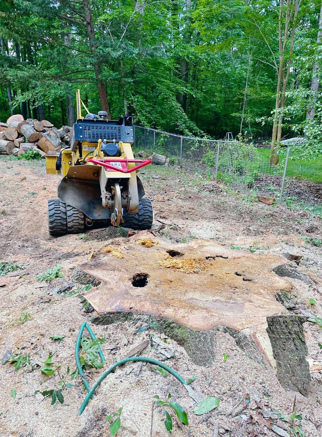 Stump grinding after tree removal