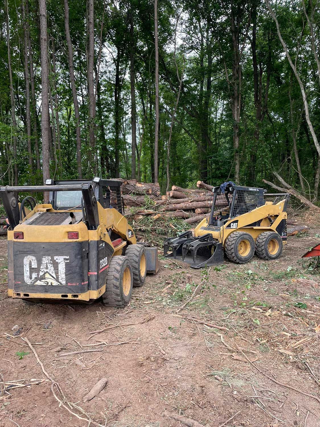 Heavy equipment used for tree removal