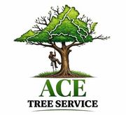 Ace Tree Service logo