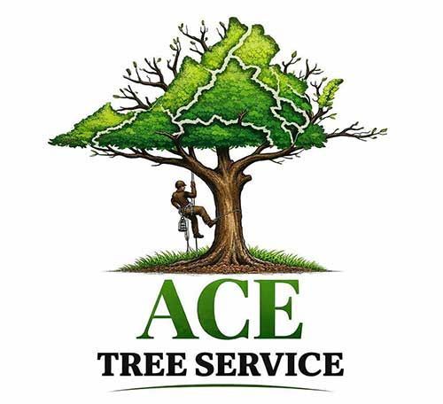 Ace Tree Service logo
