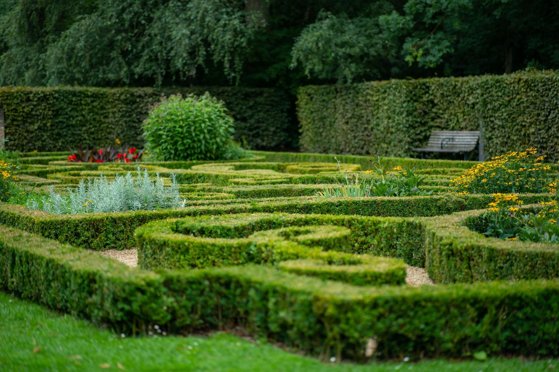 Formal garden with intricately trimmed hedges, grass paths, and a bench.