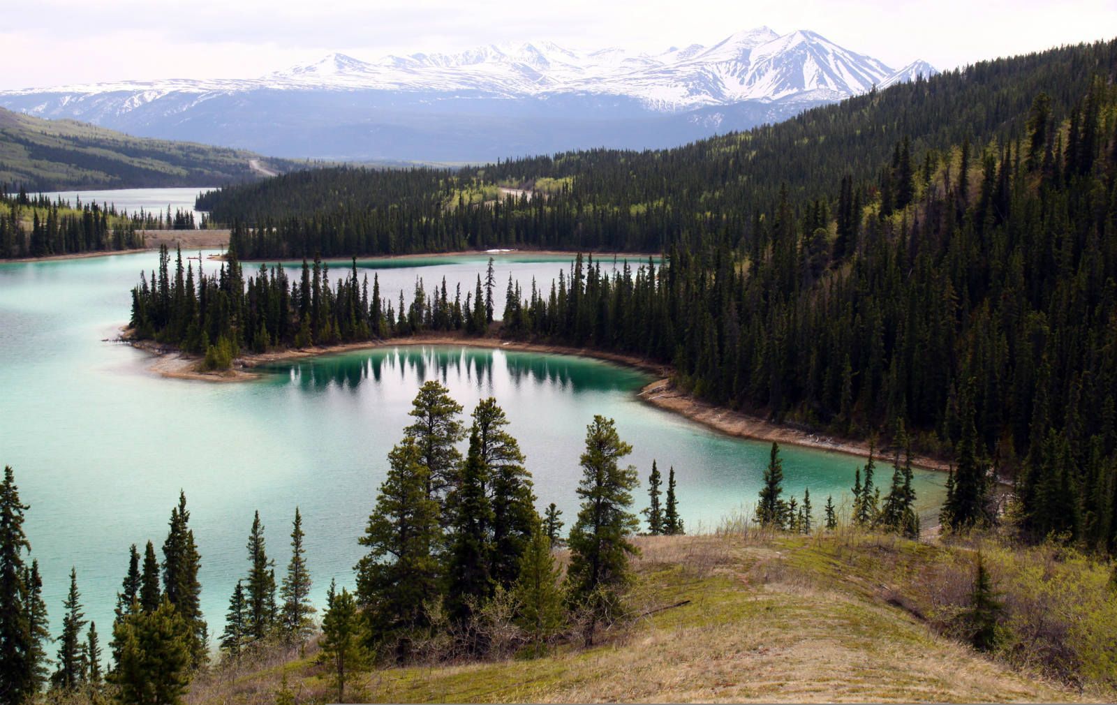 A lake surrounded by trees with mountains in the background