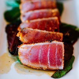 Sliced seared tuna on greens with a light sauce on a white plate