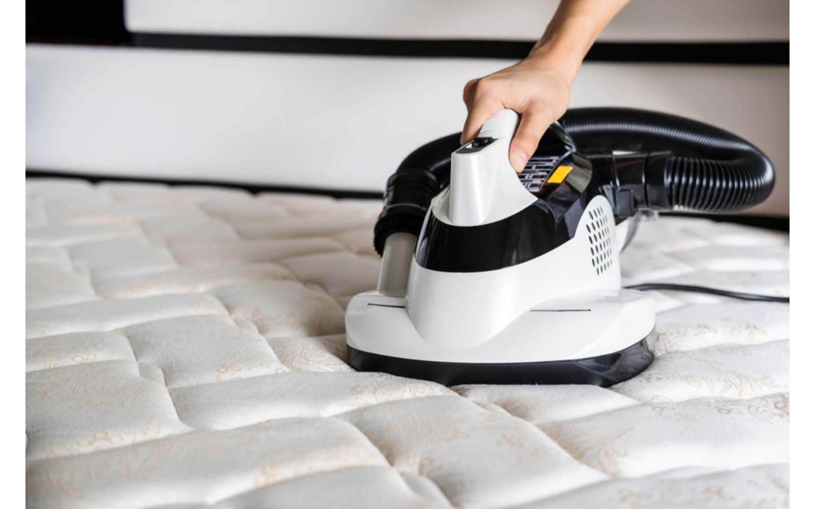 A Person Is Cleaning A Mattress With A Vacuum Cleaner — Macquarie Dry Cleaners In Dubbo, NSW