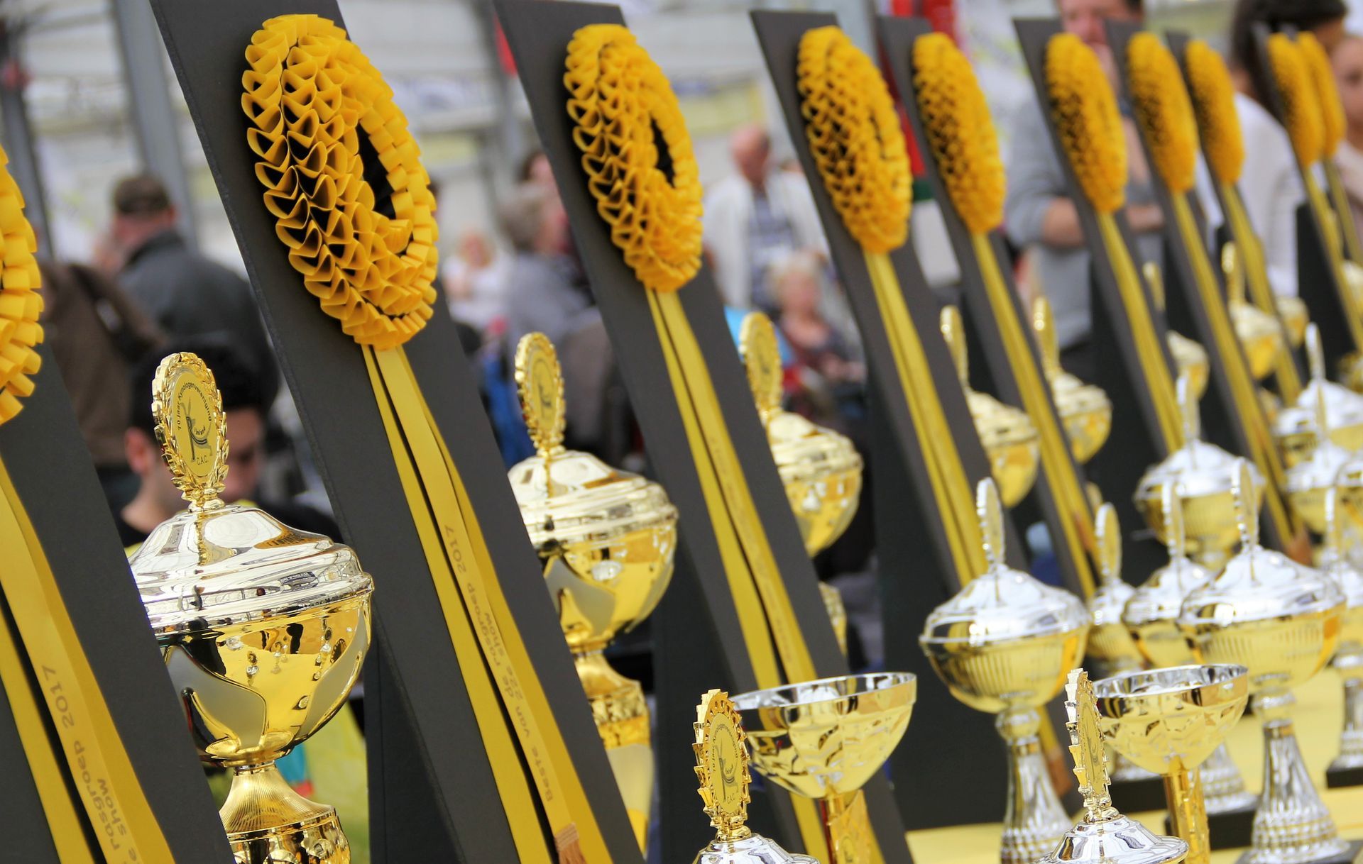 Een rij gouden trofeeën met geelzwarte linten en gele bloemversieringen op een tafel.