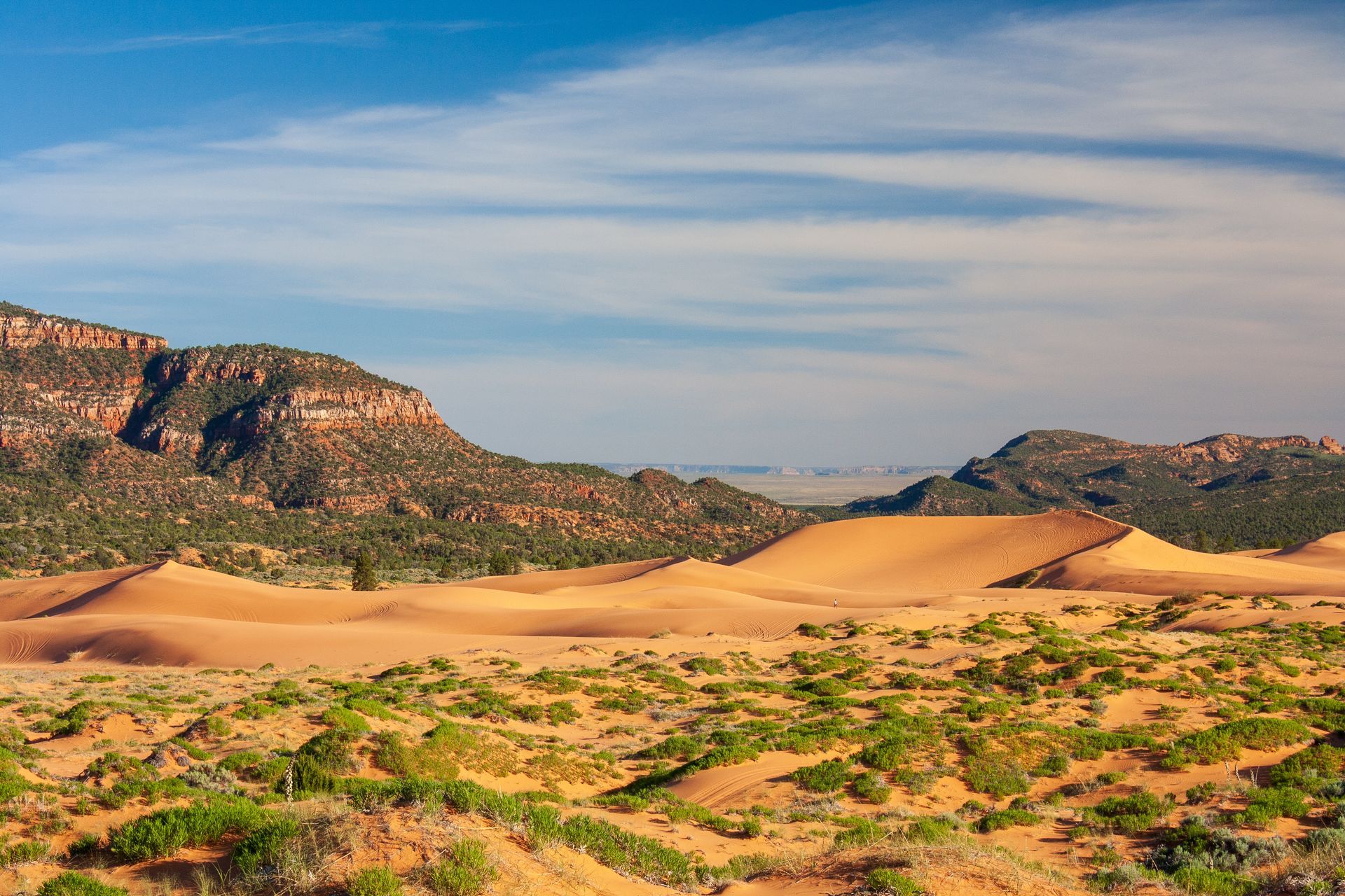 Sand dunes in a desert valley between rocky hills under a blue sky