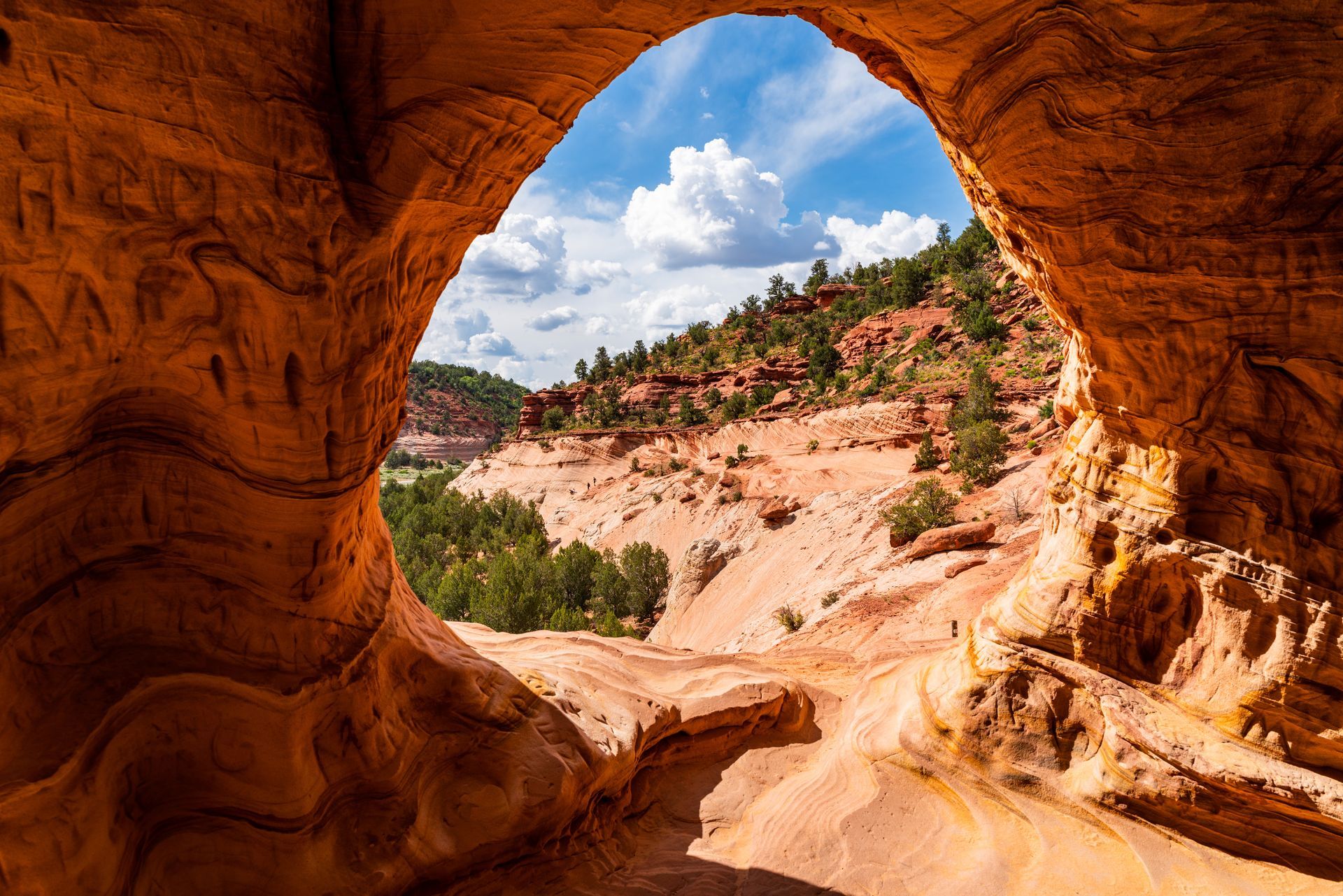 View from a red sandstone cave onto a sunlit canyon with green trees and blue sky