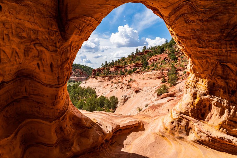 View from a red sandstone cave onto a sunlit canyon with green trees and blue sky