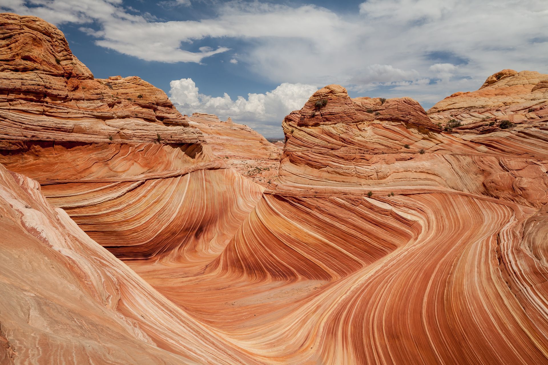 Wavy red sandstone formations under a blue sky with clouds in a desert landscape