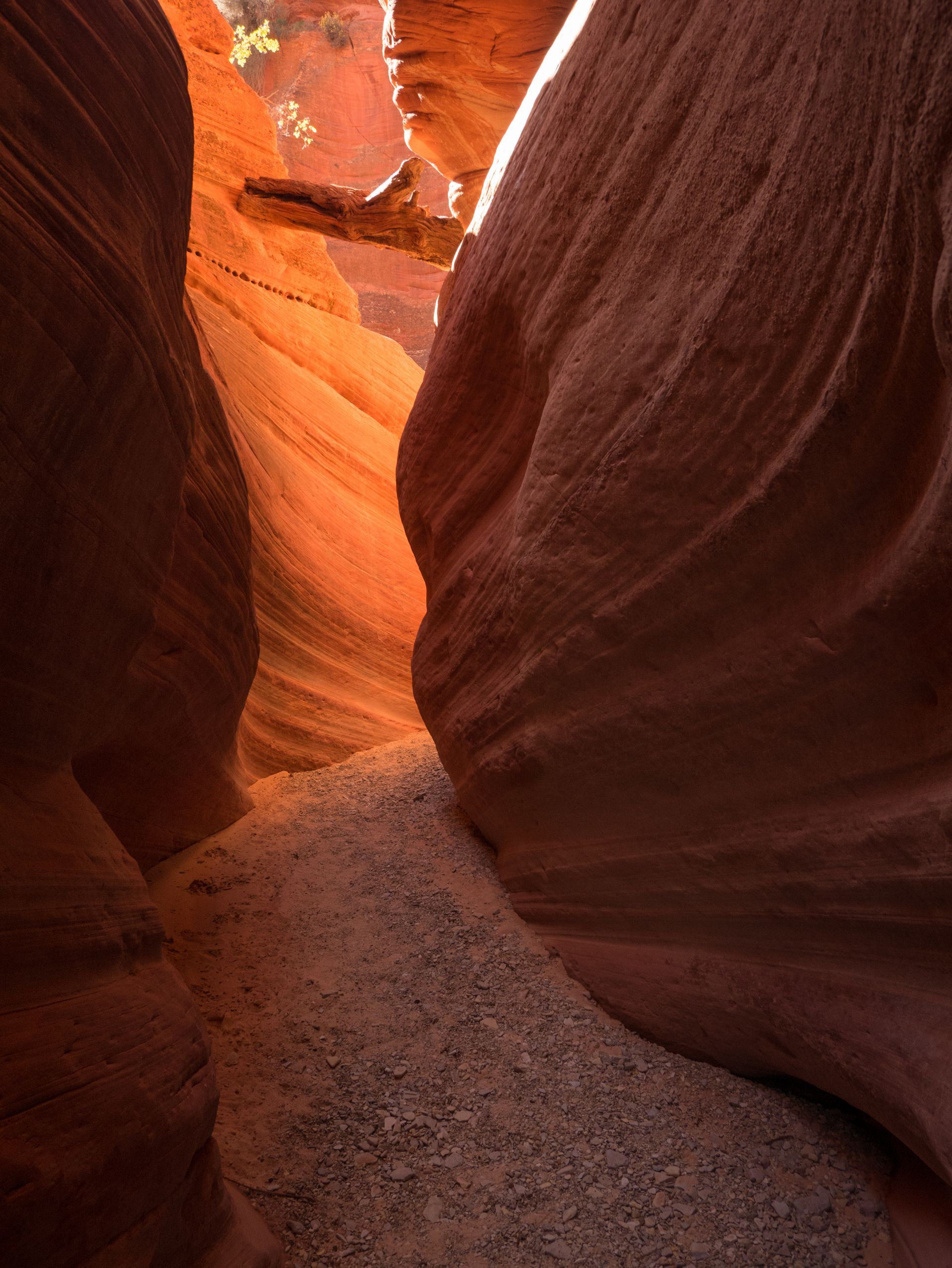 Narrow red sandstone canyon with sunlight and a sandy path