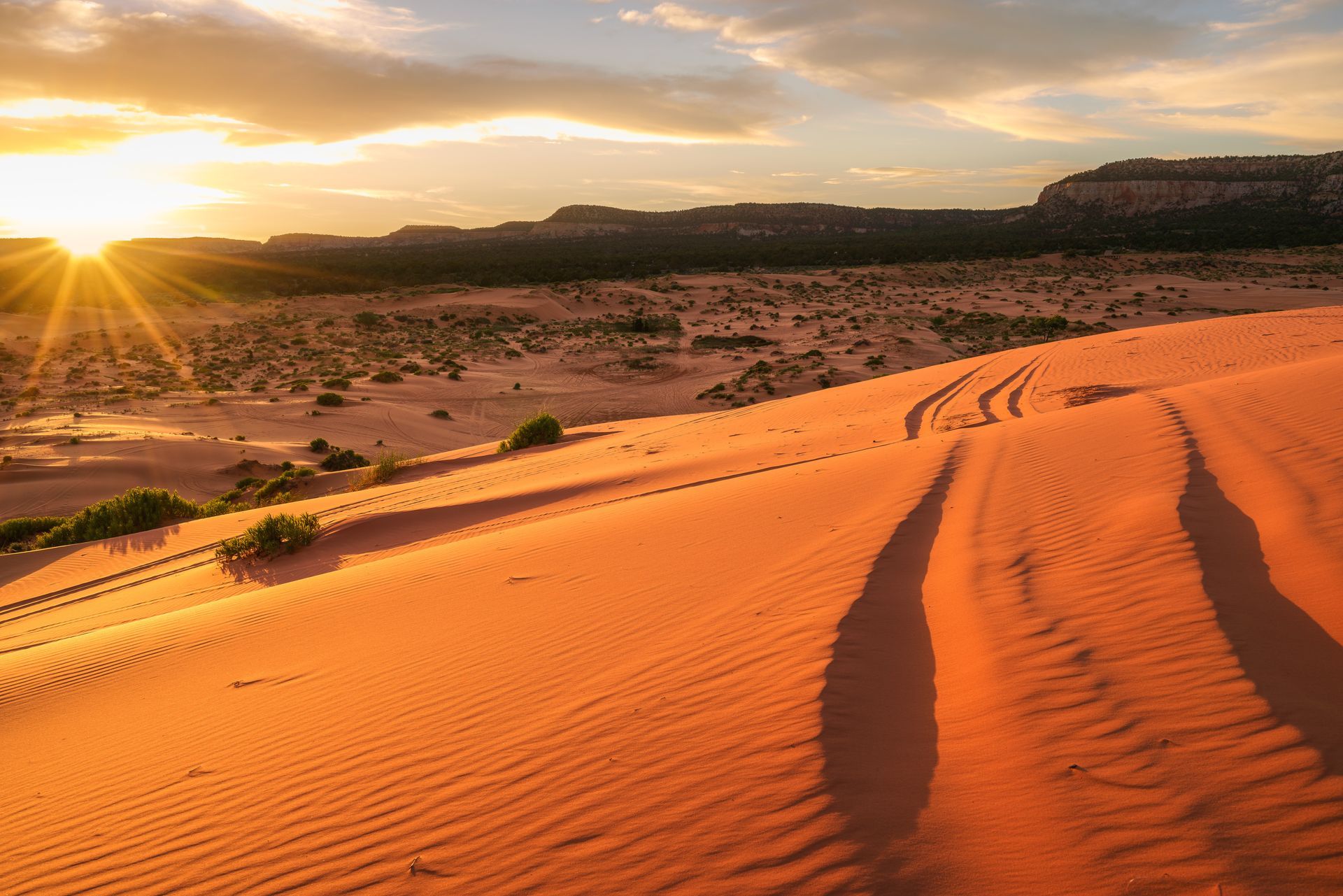 Sunset over orange sand dunes with long shadows in a desert landscape