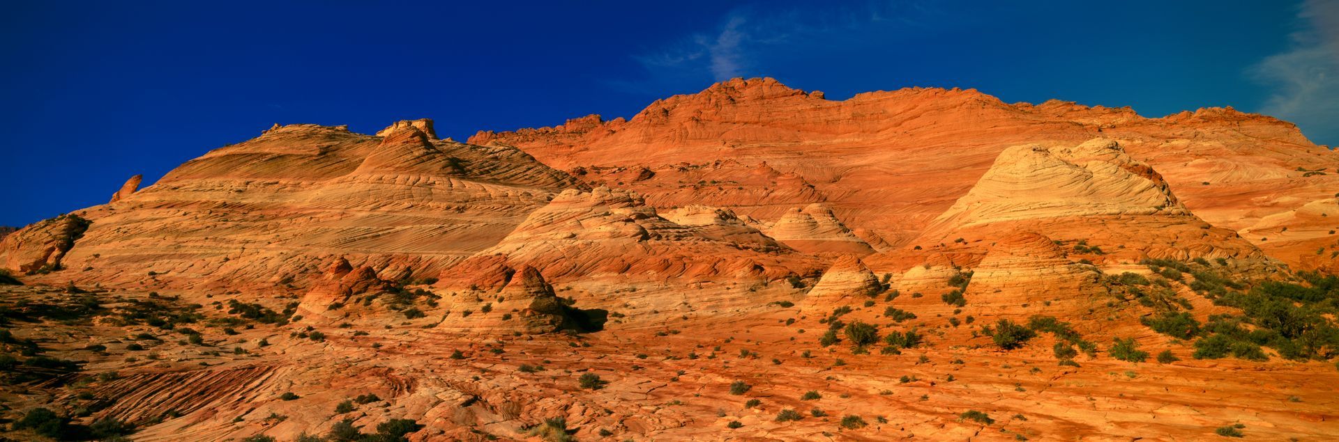 Orange sandstone desert cliffs under a clear blue sky, with sparse shrubs in the foreground