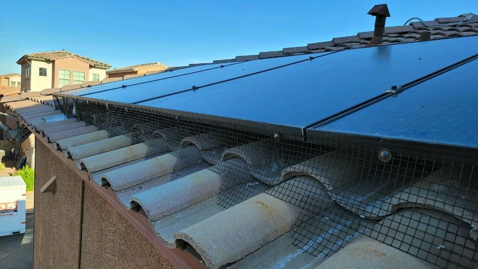 Blue metal roof with rooftop solar panels and bird netting along the edge