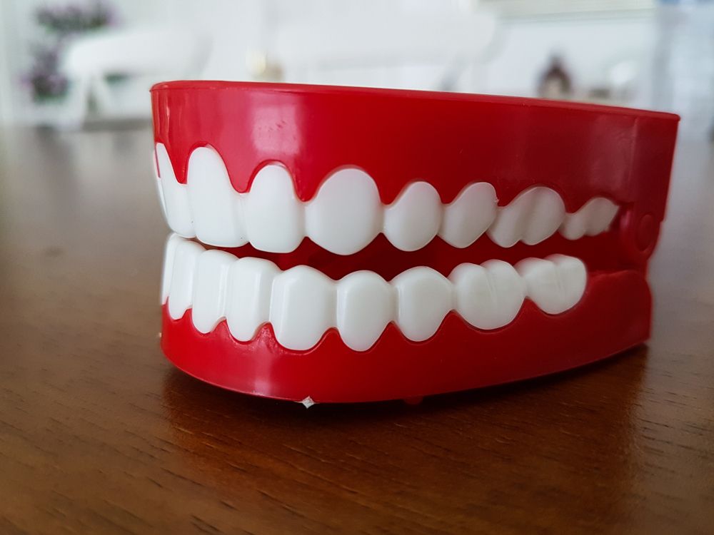 A Red Teeth Model with White Teeth on a Wooden Table — Goonellabah Denture Clinic in Lennox Head, NSW