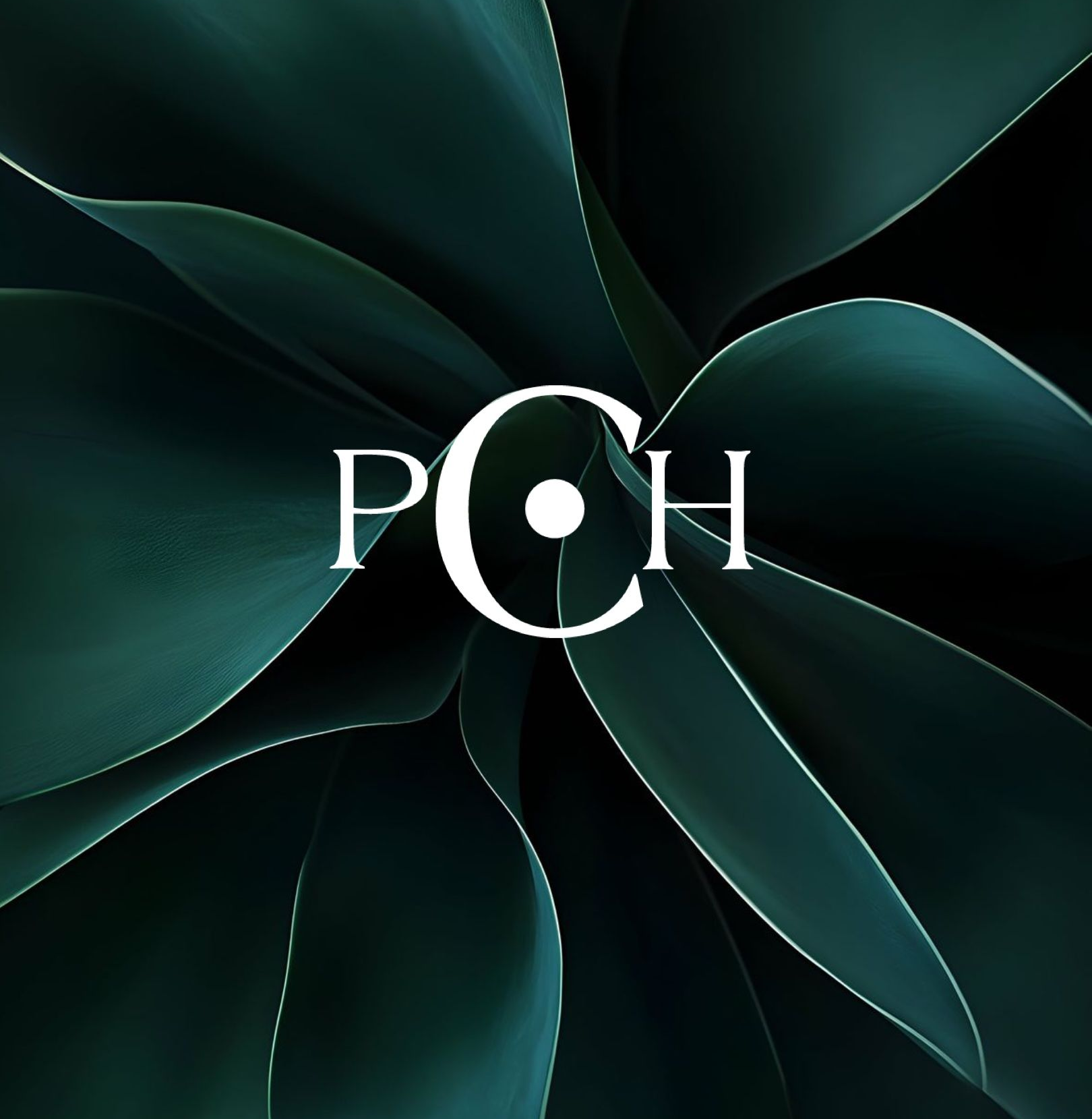 the pentclub haus - member login