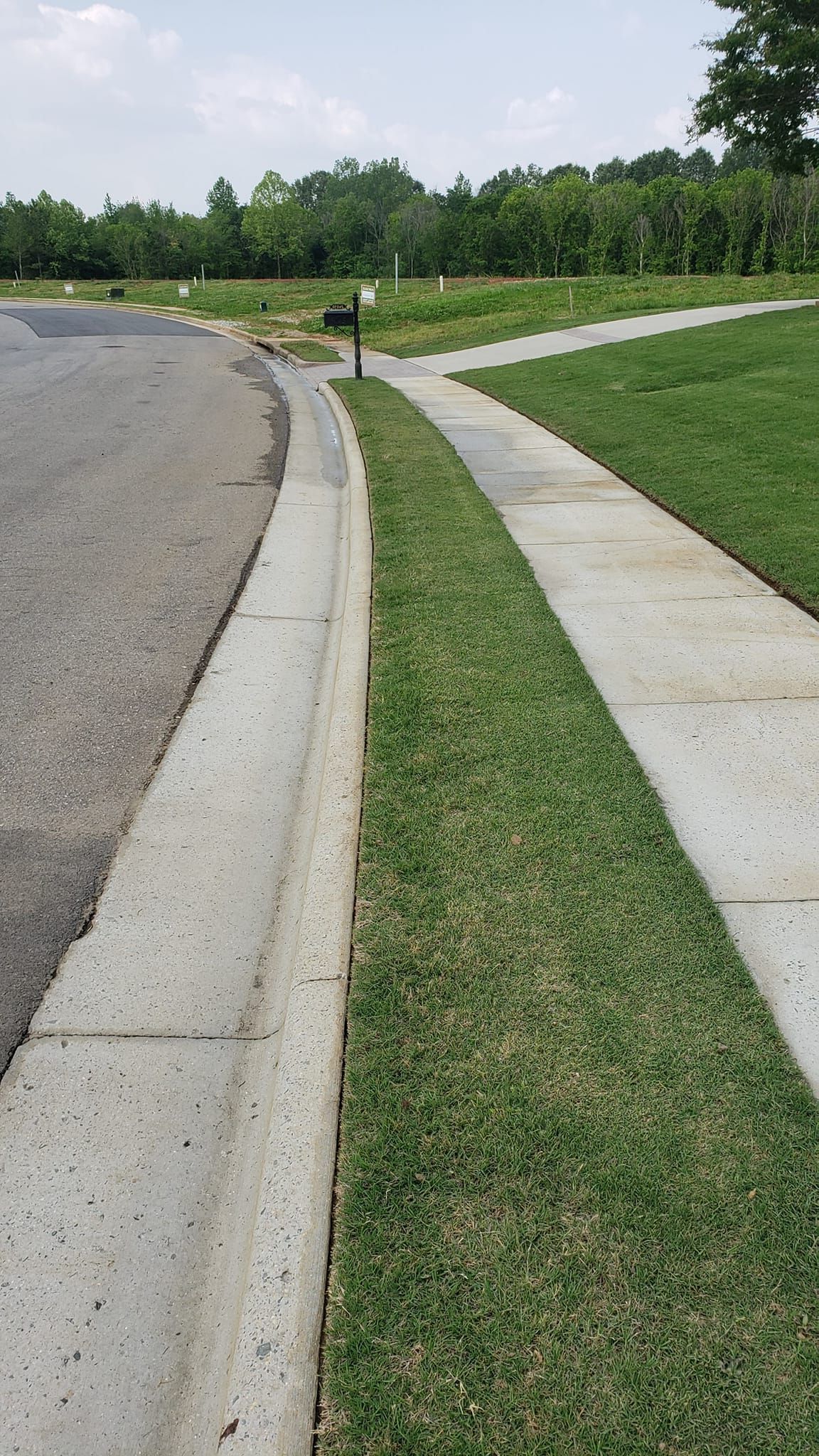 After Mud Stain Removal Walkway Pressure Wash | Harvest, AL | Radiant Exterior Cleaning