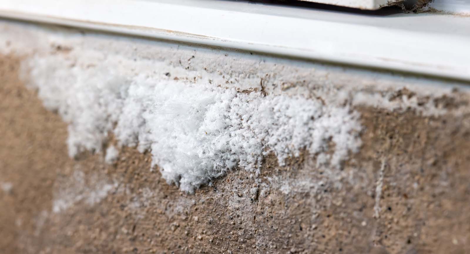 Graffiti Cleaning — Harvest, AL — Radiant Exterior Cleaning Services