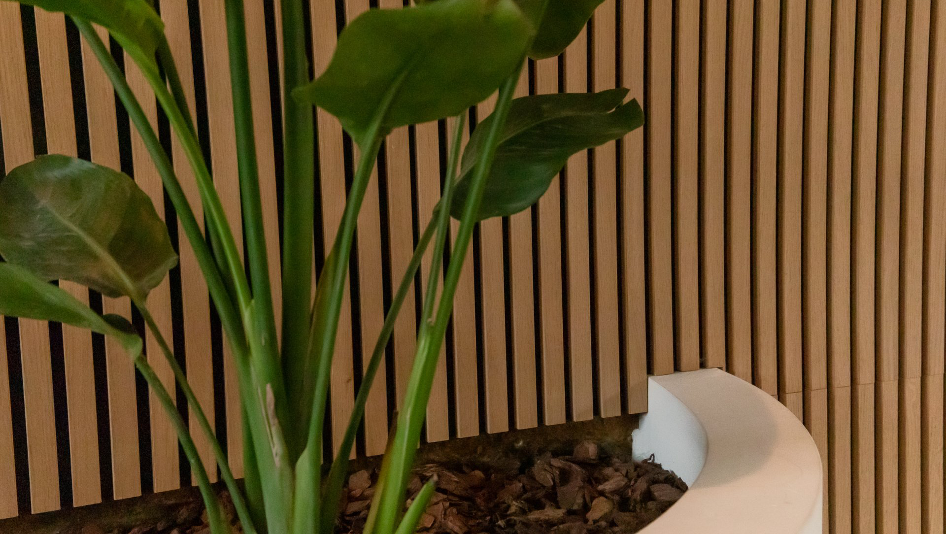 Mooie materialen. Gestuukte plantenbak.