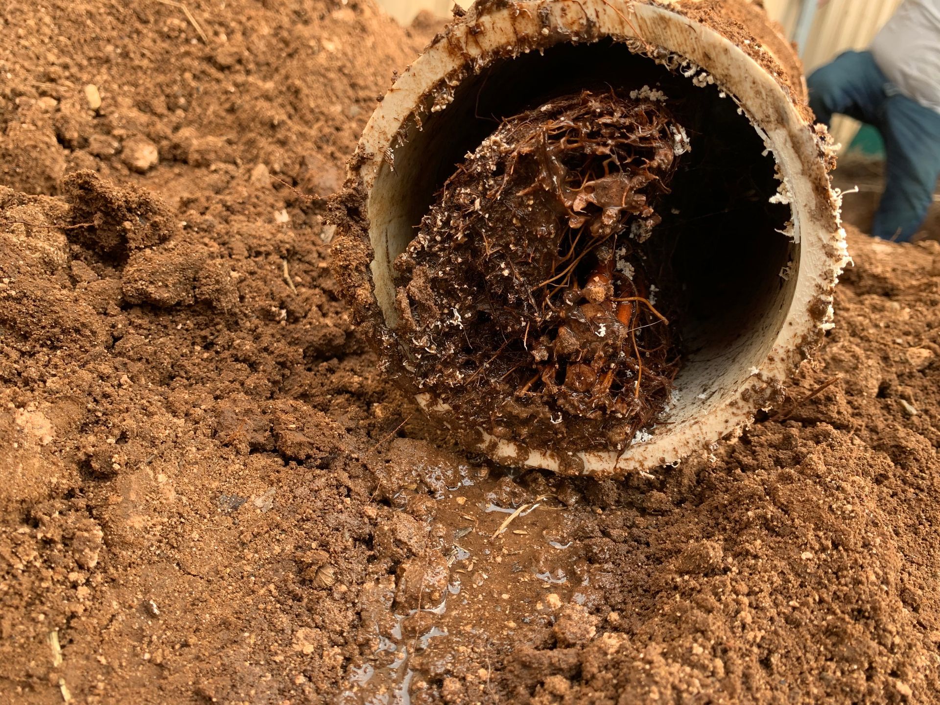 Plumbing - Clogged Exterior Pipe - A broken white pipe buried in dirt, heavily clogged with thick, dark tree roots and debris, with wet mud underneath.