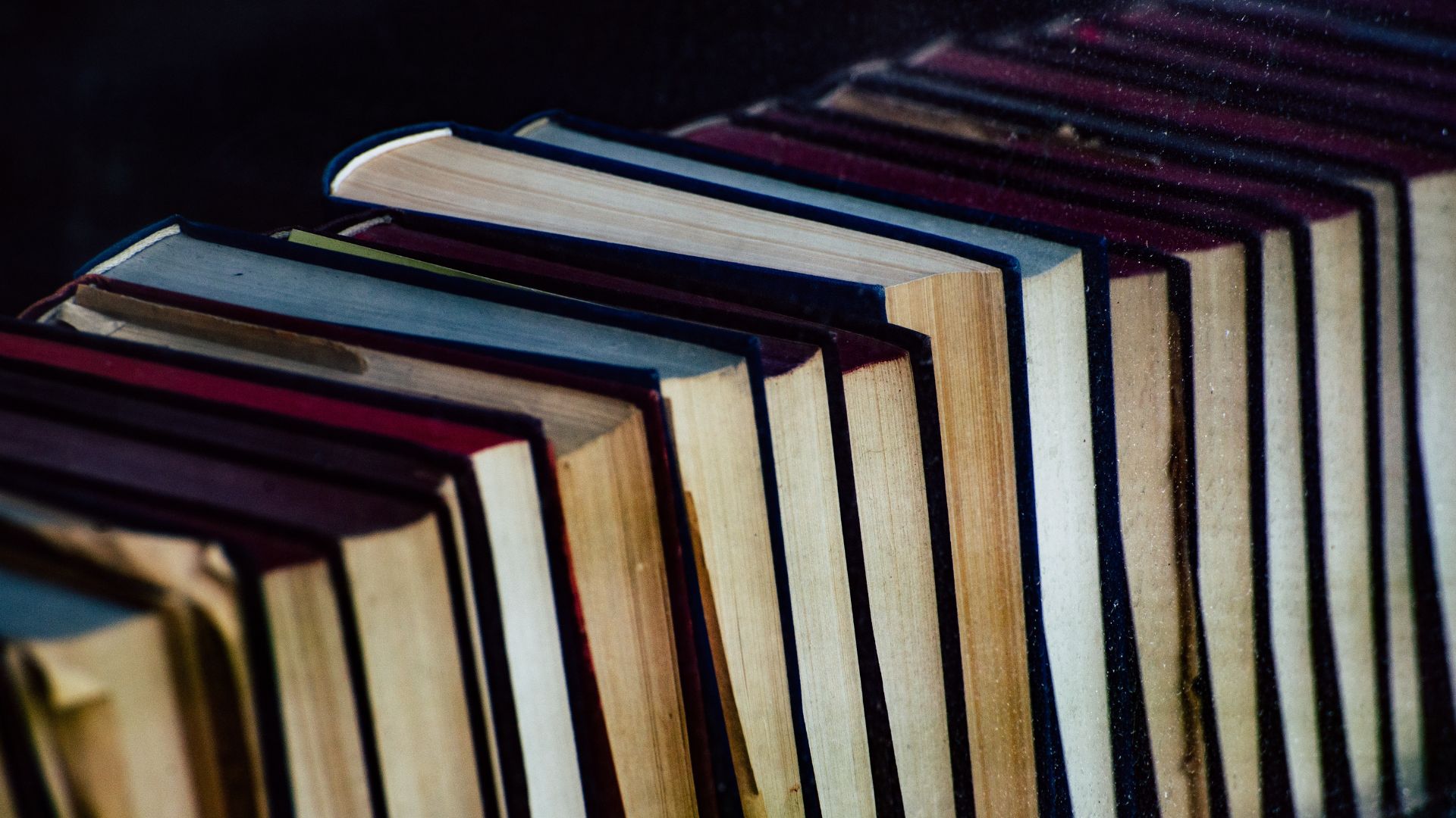 Row of colorful hardcover books standing upright on a shelf