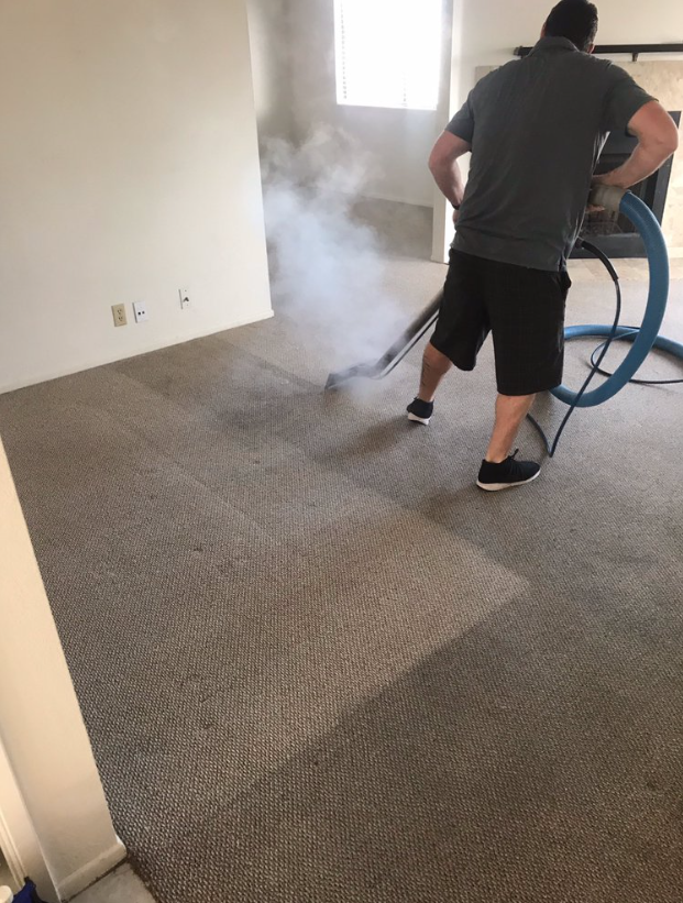 Person steam-cleans a gray carpet in a room, with visible steam and a hose.