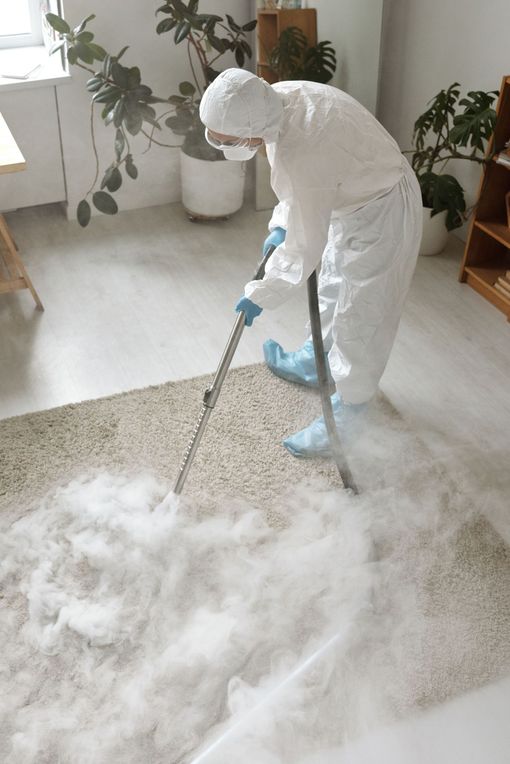Deep-clean carpet service with vacuum in a bright living room, plus green eco-friendly text and icons