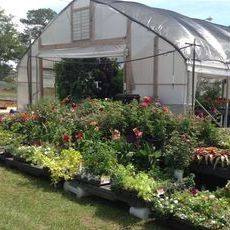 village community garden
