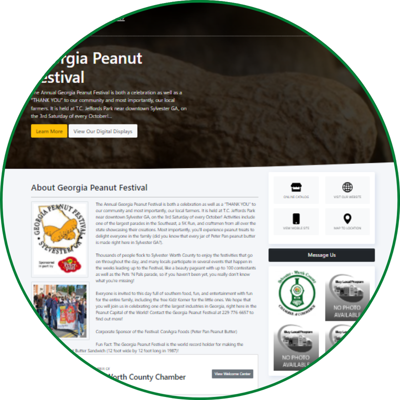 Mini Webpage