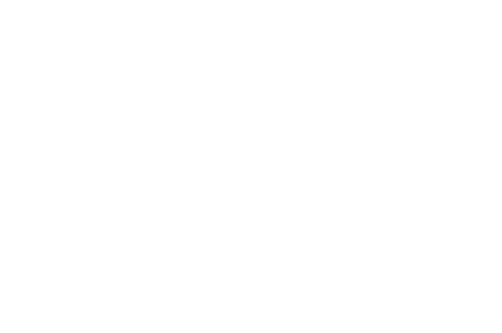 Sfondo bianco.