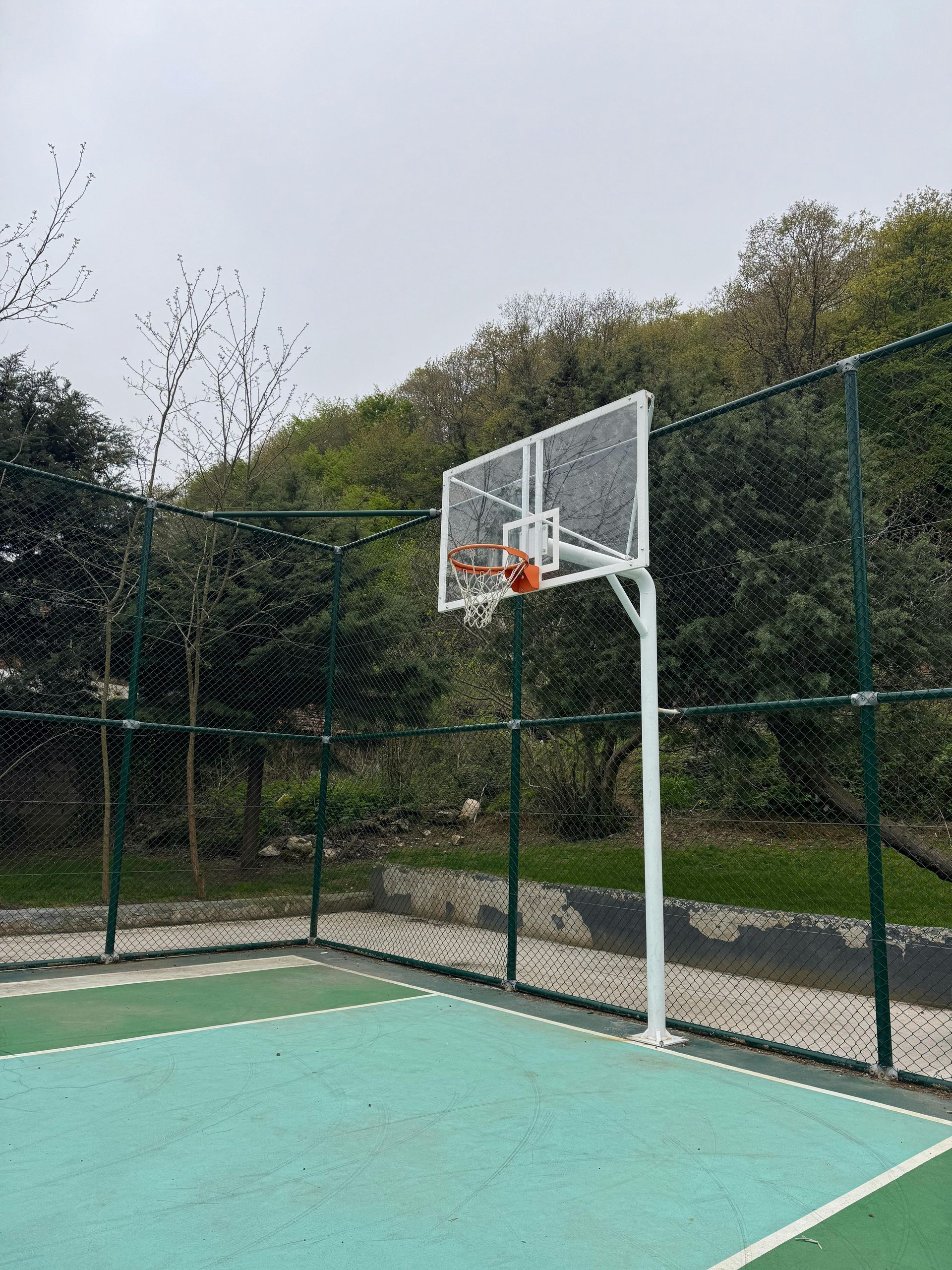 Basketball hoop on a turquoise court, surrounded by a fence and trees, overcast sky.