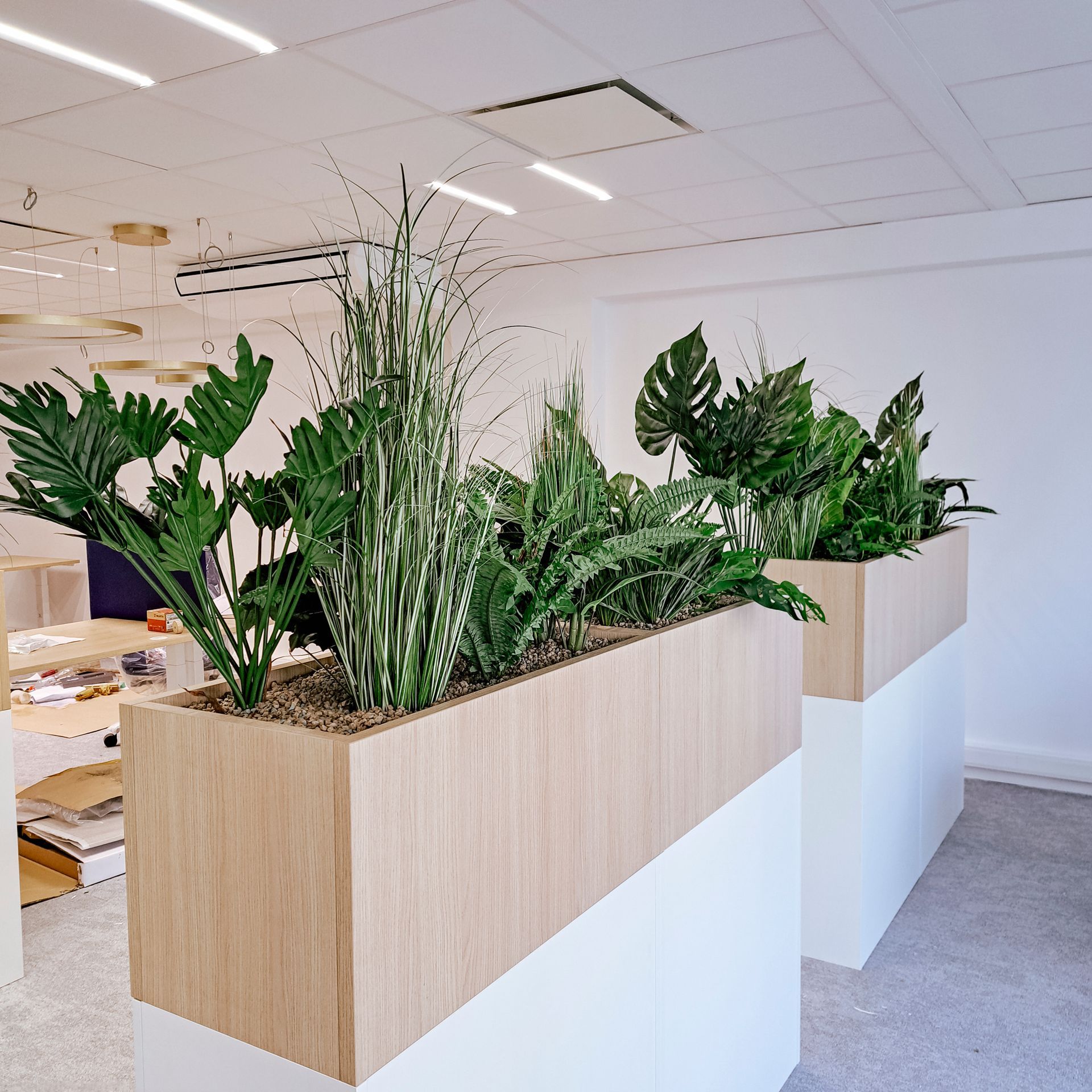 Jardinières de bureau avec des plantes vertes luxuriantes sur une cloison blanche et en bois dans un espace de travail moderne et lumineux
