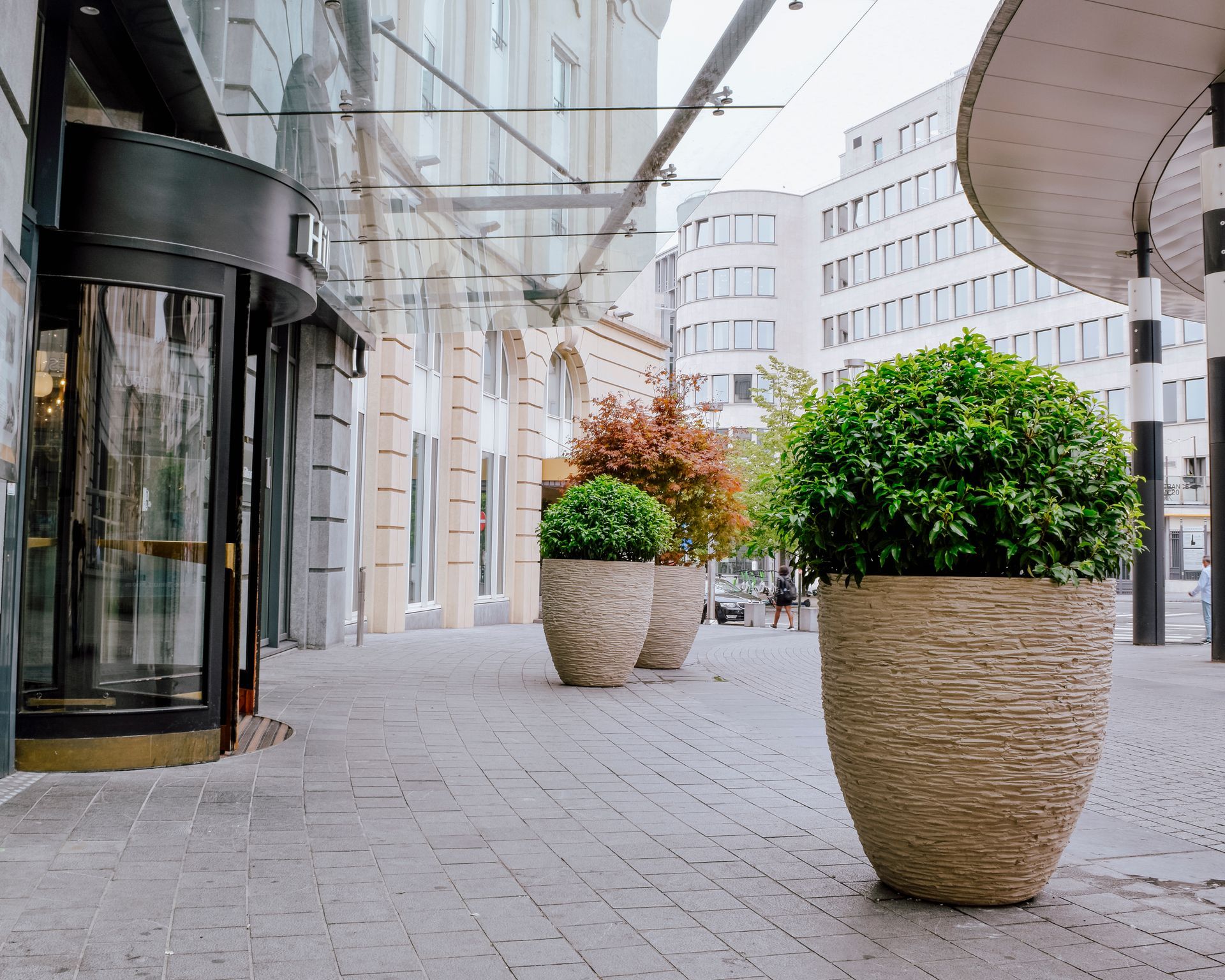 Modern city walkway with large potted shrubs beside glass storefronts and curved buildings