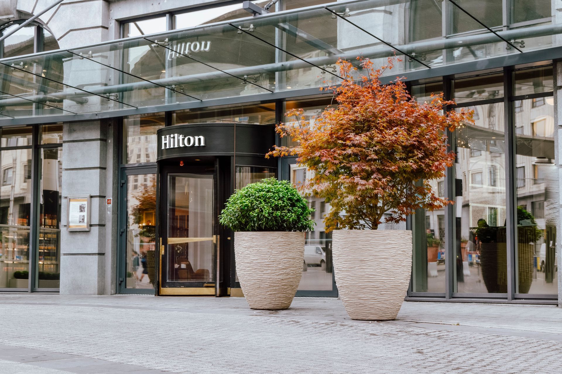 Hilton hotel entrance with glass facade, large potted plants, and autumn tree in front