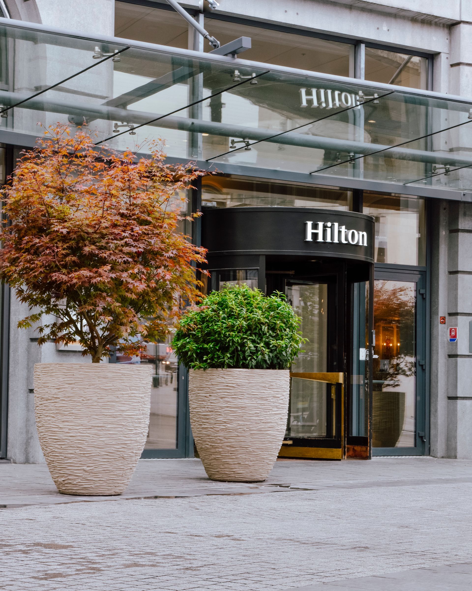 Hilton hotel entrance with glass canopy and two large potted shrubs on a cobblestone sidewalk