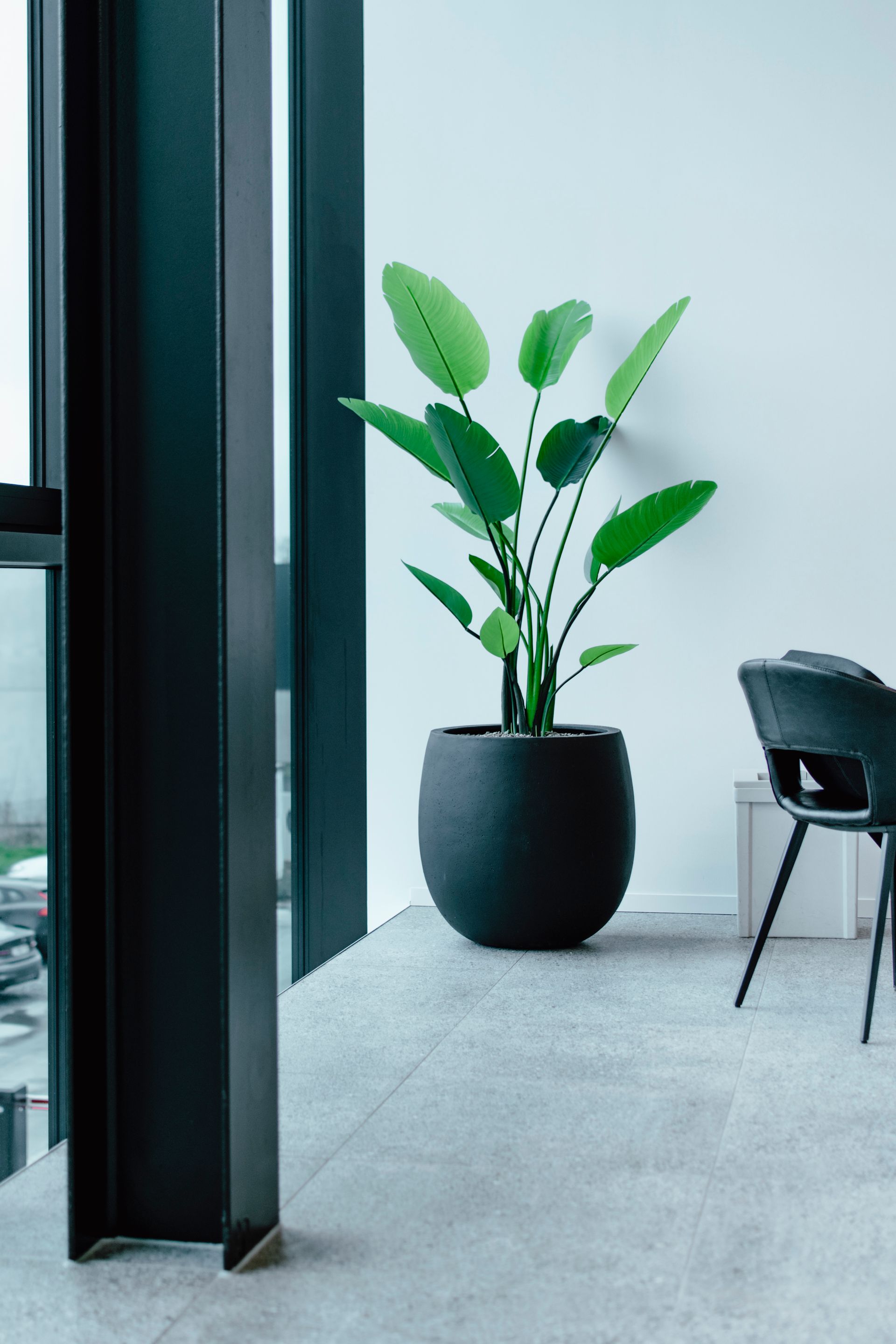Coin bureau moderne avec une plante verte en pot à côté d'une chaise noire sur un sol clair