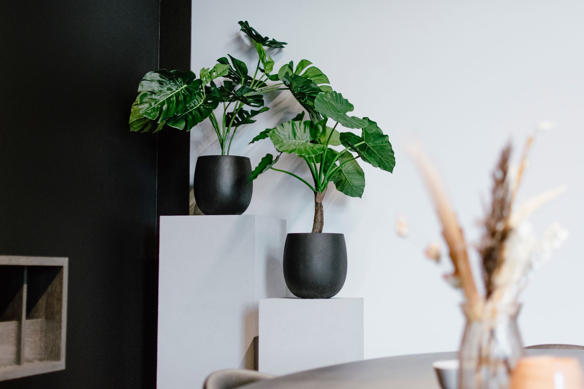 Deux pots noirs contenant des plantes vertes sur des socles blancs dans un intérieur moderne