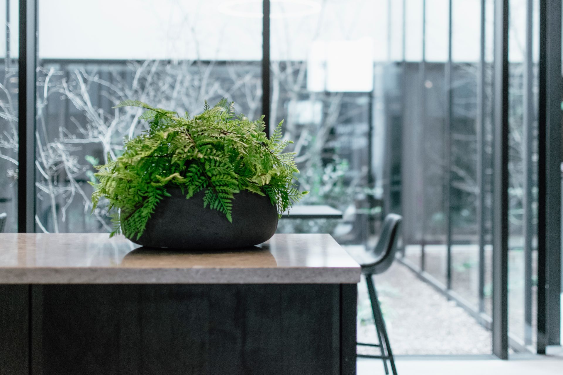 Plante verte en pot sur une table en bois près de baies vitrées dans un intérieur moderne
