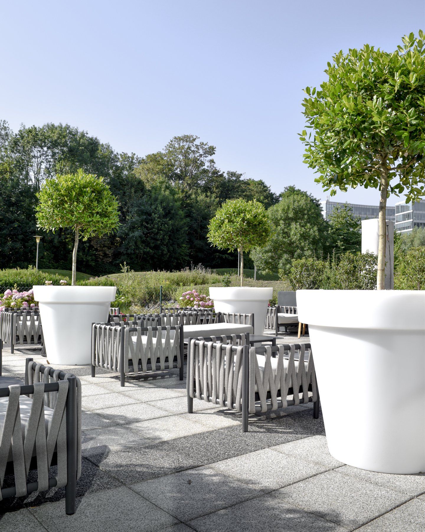 Sunny outdoor café patio with white planters, small trees, and gray seating on a stone terrace
