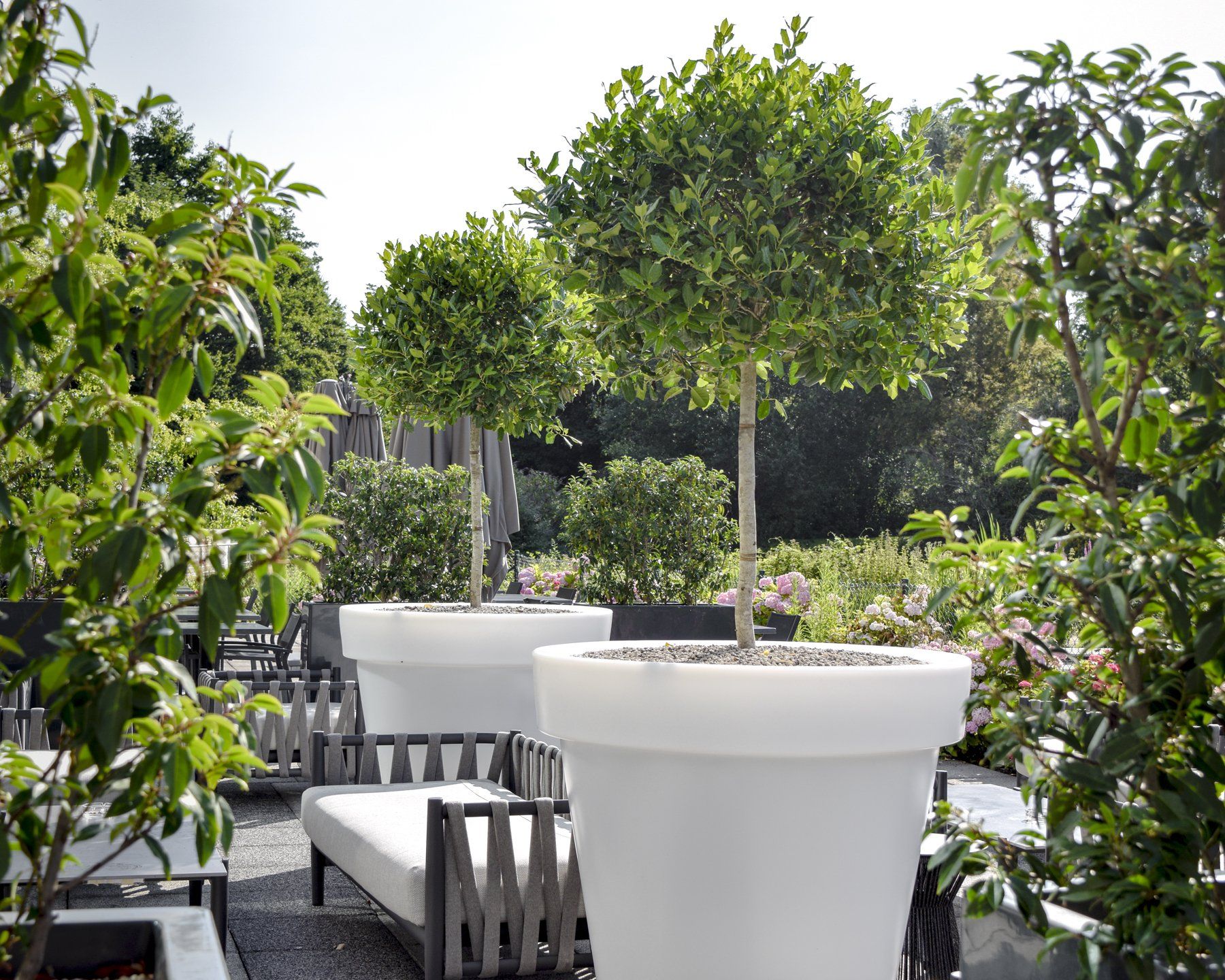 Outdoor patio with white planters, green trees, and gray seating in bright sunlight