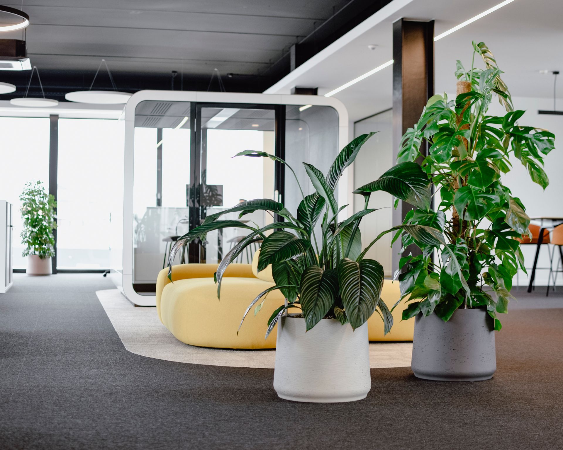 Modern office lounge with potted plants, yellow seating, and large windows