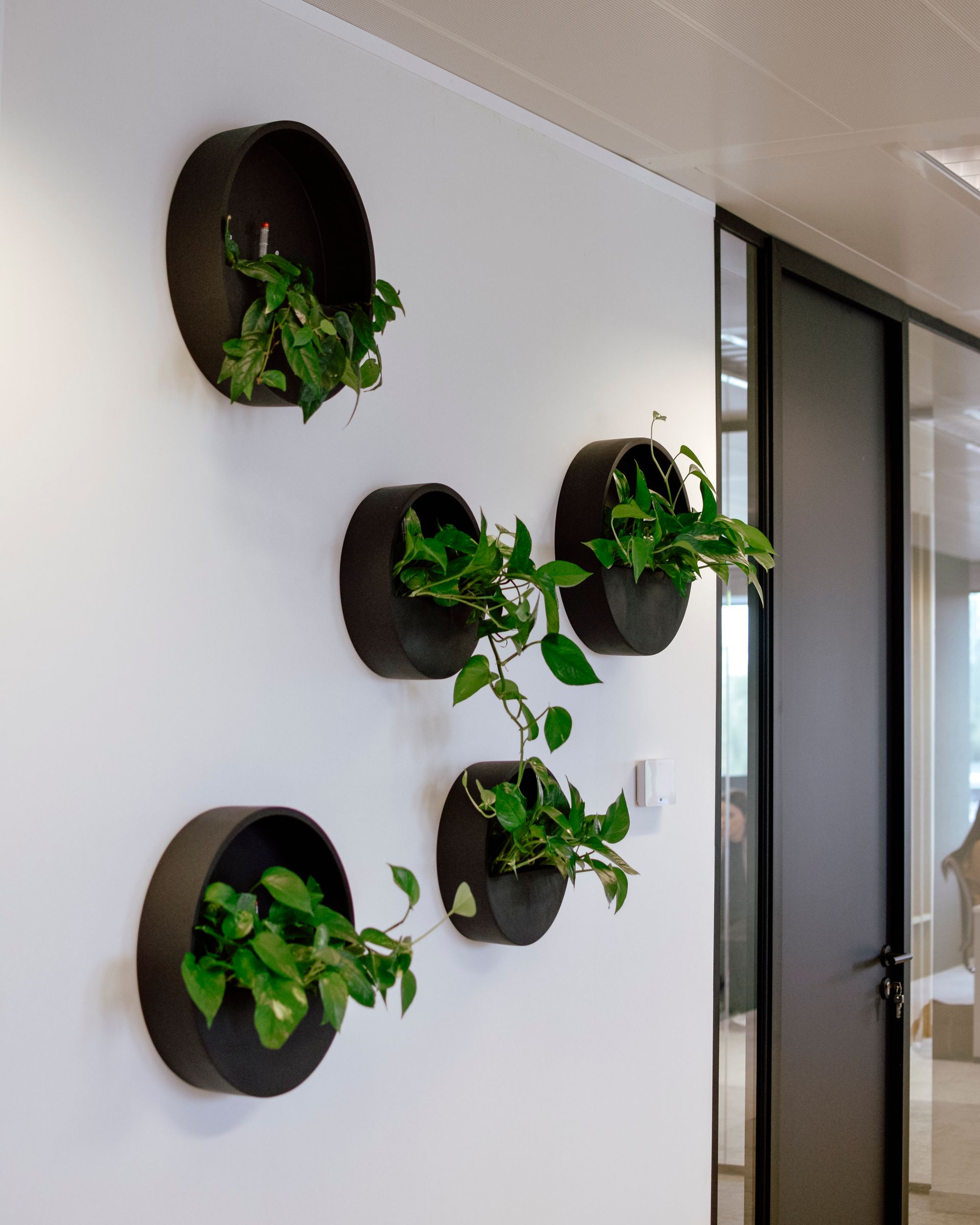 Wall-mounted black planters with green trailing plants in a modern hallway