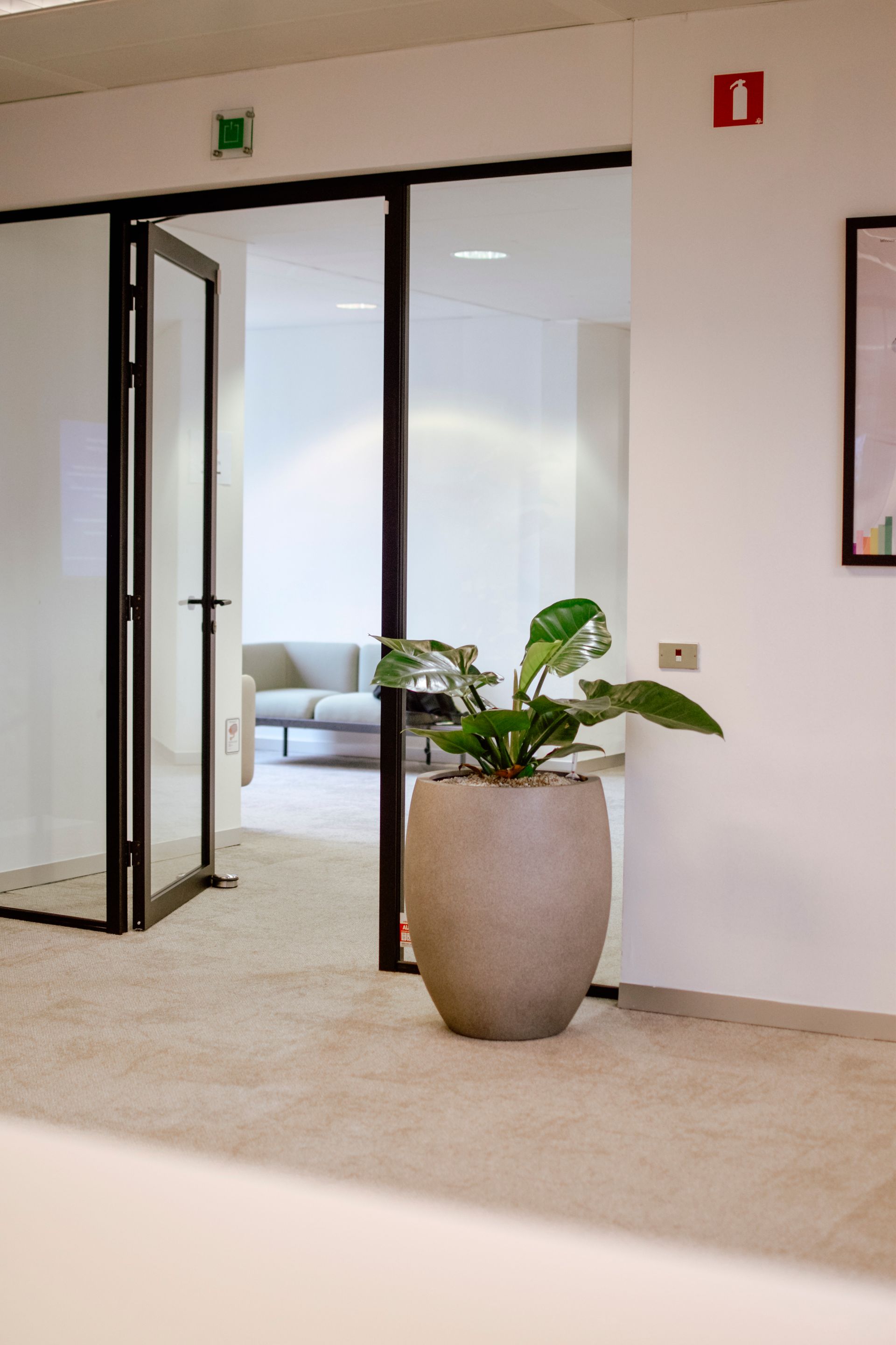 Couloir de bureau avec portes vitrées ouvertes, moquette beige et plante en pot au premier plan
